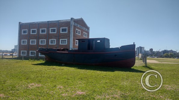 IMG_20230513_104509819_HDR