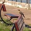 IMG_20230514_123117851