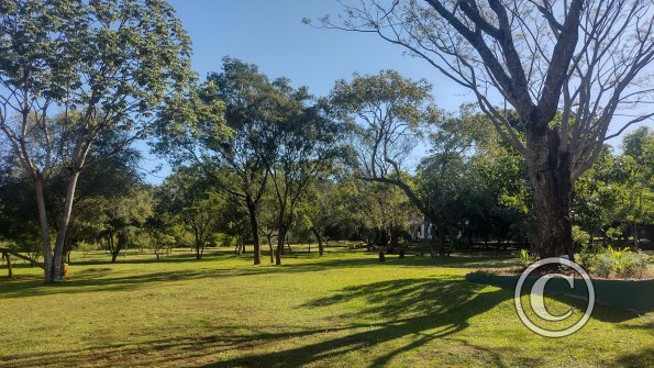 IMG_20230514_141406721_HDR