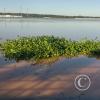 IMG_20230514_155052139_HDR