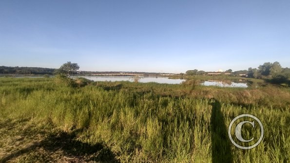 IMG_20230514_161711525_HDR