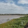 IMG_20230610_130758237_HDR