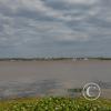 IMG_20230610_130801926_HDR