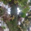 IMG_20230612_132337336