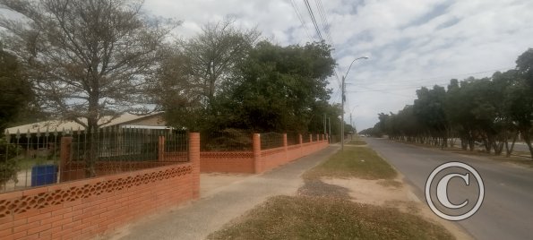 IMG_20230705_105835800_HDR