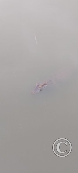 IMG_20230425_145547401