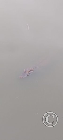 IMG_20230425_145551197