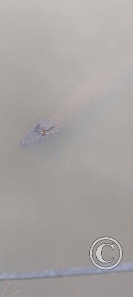 IMG_20230425_145721736