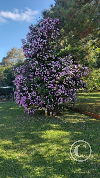 IMG_20230618_124713082_HDR