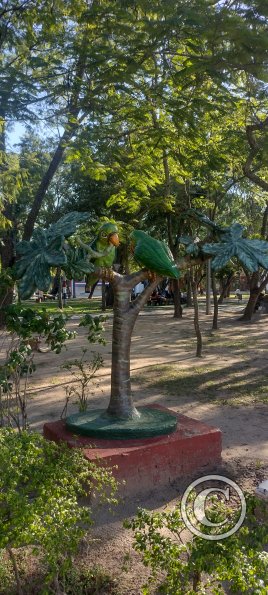 IMG_20230624_150259605_HDR