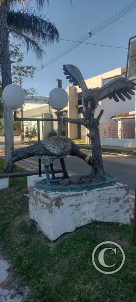 IMG_20230624_151559509_HDR