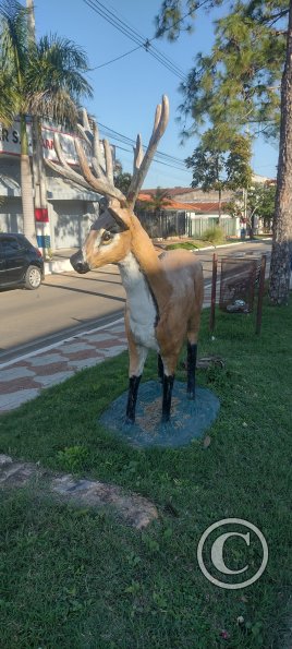 IMG_20230624_151633105_HDR