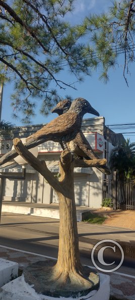 IMG_20230624_151706883_HDR