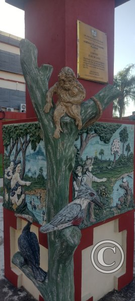 IMG_20230624_151945753_HDR