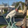 IMG_20230624_152044338_HDR