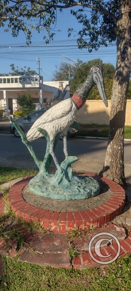 IMG_20230624_152044338_HDR