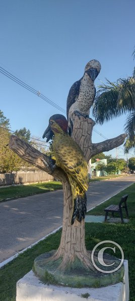 IMG_20230624_152120353_HDR