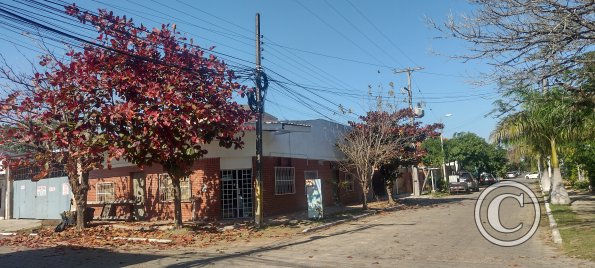 IMG_20230625_103233853_HDR