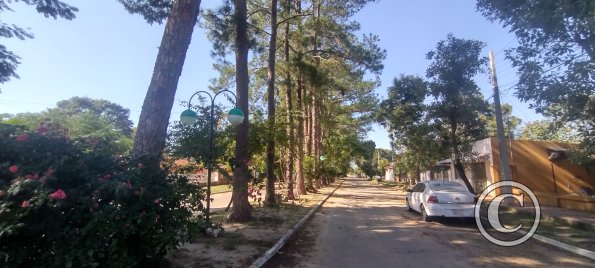 IMG_20230625_112232570_HDR