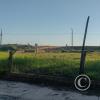 IMG_20230625_155740699_HDR