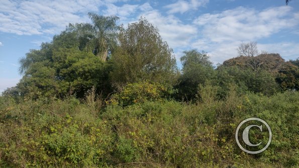 IMG_20230620_144518558_HDR