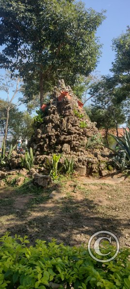 IMG_20230628_113617724_HDR