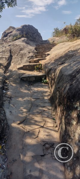 IMG_20230628_115615765_HDR