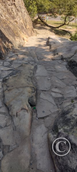 IMG_20230628_115621044_HDR