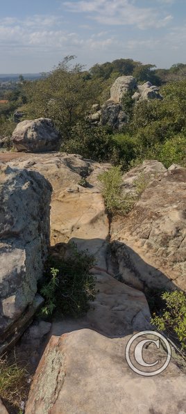 IMG_20230628_115918035_HDR