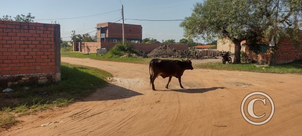 IMG_20230628_131905670_HDR