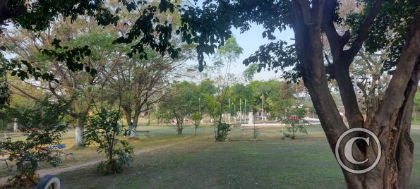 IMG_20230628_144657031_HDR