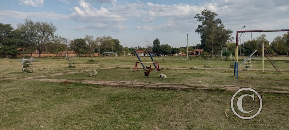 IMG_20230628_151046014_HDR