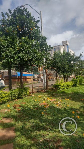 IMG_20230508_111256681_HDR