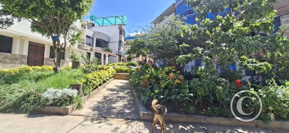 Gardens at Av Pachacutec and Av Huascar