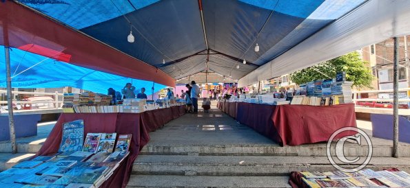 Outdoor books vender in the park