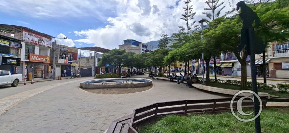 Parque El Olivo on Av Diaz Barcenas near Jiron Mariscal Gamarra