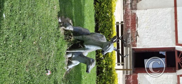 Plaza de Armas at Jiron Lima and Jiron Junin