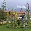 Plaza de Armas (2)