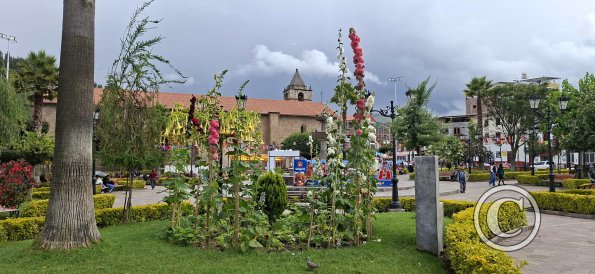 Plaza de Armas (2)