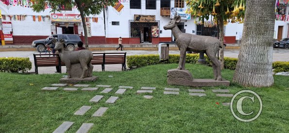 Plaza de Armas (5)