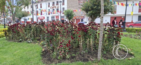 Plaza de Armas (6)