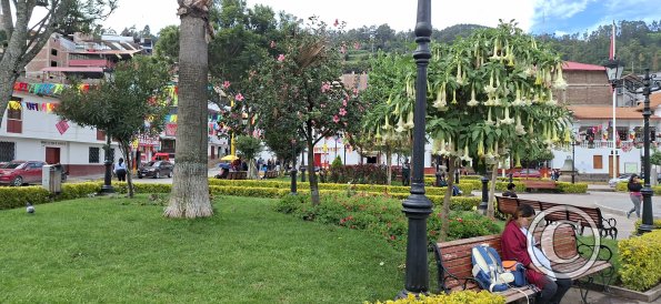 Plaza de Armas (7)