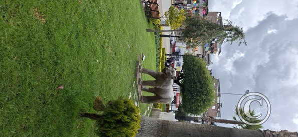 Plaza de Armas