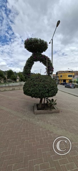 topiary in n the riverside park