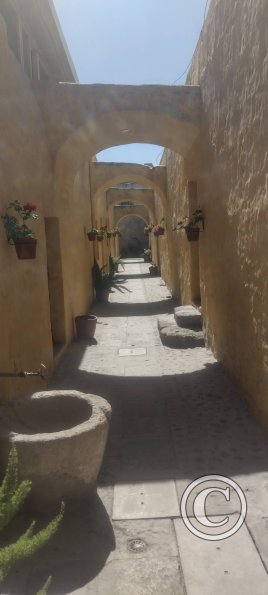 Monasterio de Carmelitas Descalzas de San José y Santa Teresa-13