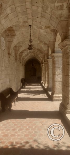 Monasterio de Carmelitas Descalzas de San José y Santa Teresa-2