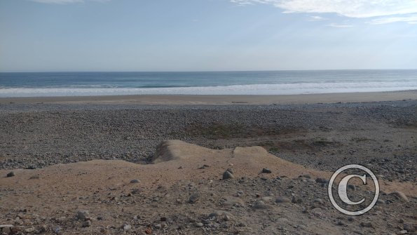 The beach (3)