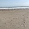 The beach (4)