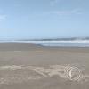 The beach (6)