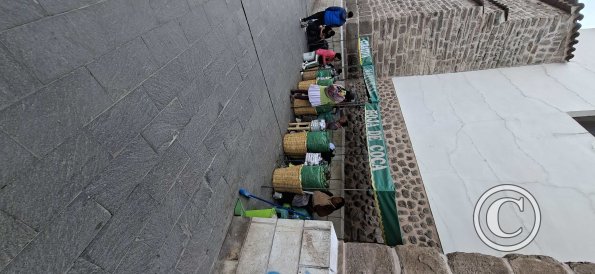 Coca leaves for sale